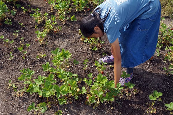 Gardening