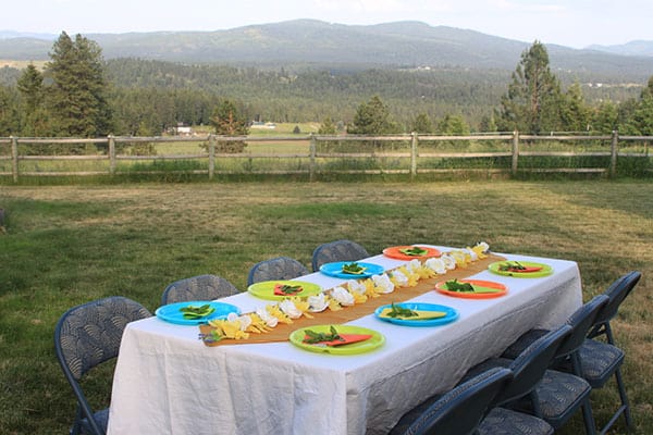 Outdoor Table Setting