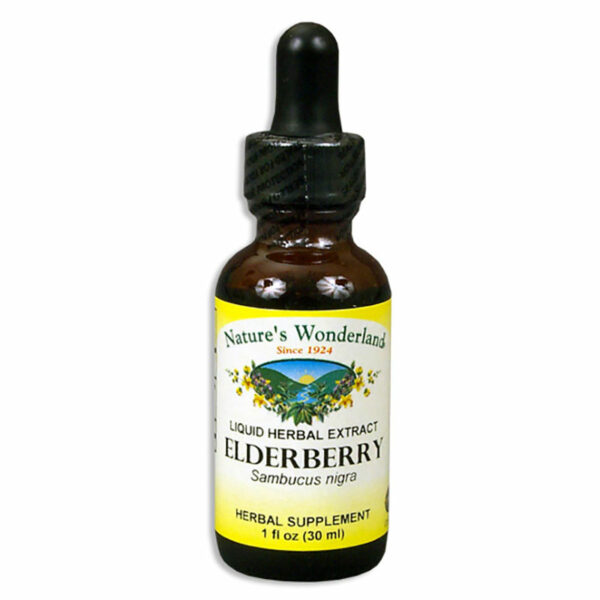 Elderberry Extract